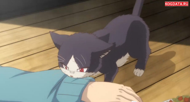 аниме про животных кот Домашний питомец, иногда сидящий на моей голове 2 сезон дата выхода расписание